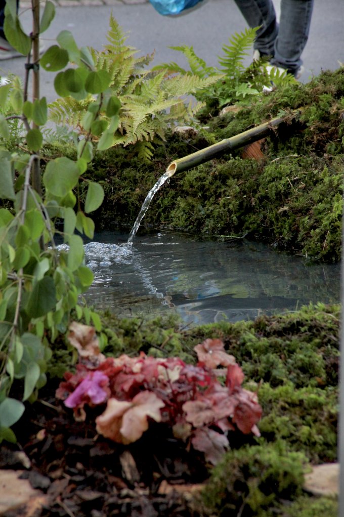 Un Jardin Dans Ma Ville - Édition 2024 photo 14